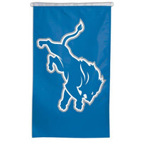 Thumbnail for Detroit Lions NFL flag for sale