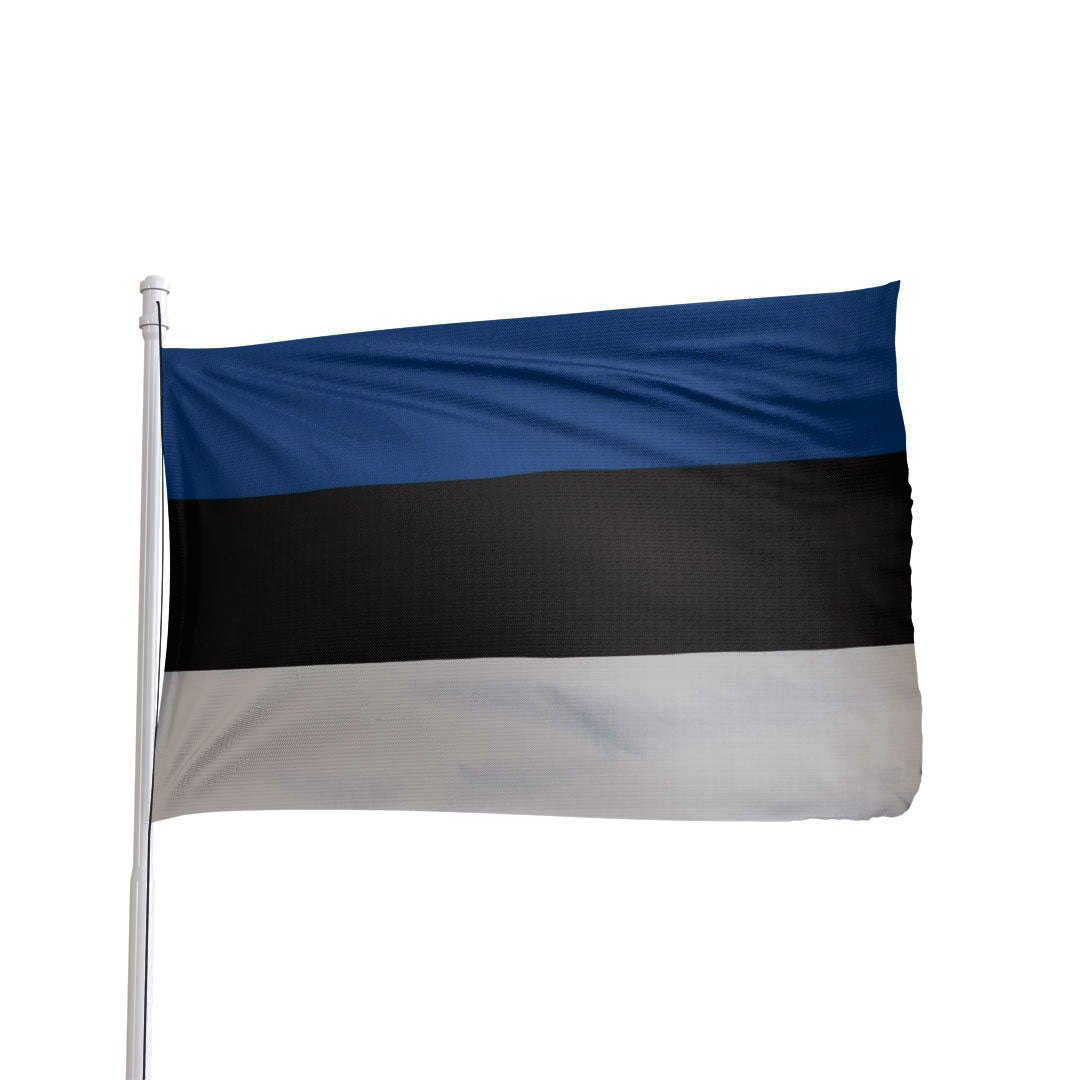 Estonia Flag