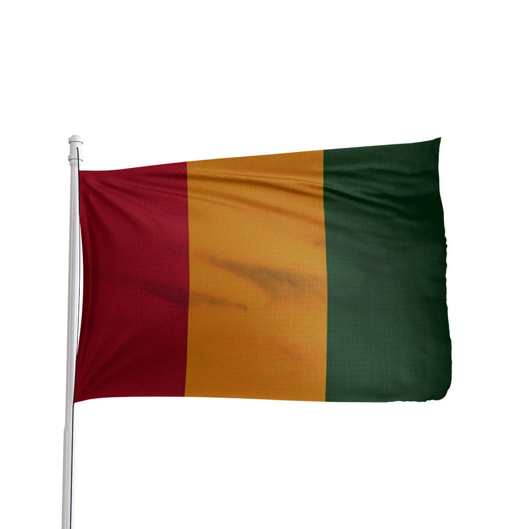 Guinea Flag