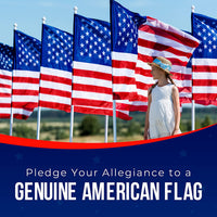 Thumbnail for Nylon Large American Flag