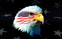 Thumbnail for Eagle Flag